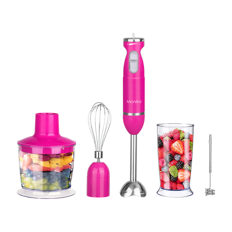 5IN 1 800W Stick Blender Kit